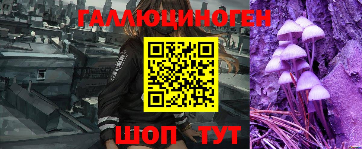 Псилоцибиновые грибы Magic Shrooms  Вход с VPN  Северск 