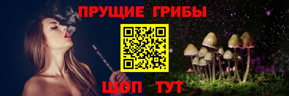 Галлюциногенные грибы ЛСД Северск